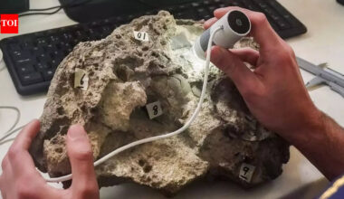 150-million-year-old intact dinosaur eggs found on Portugal’s Santa Cruz Beach, where a Jurassic predator left them |