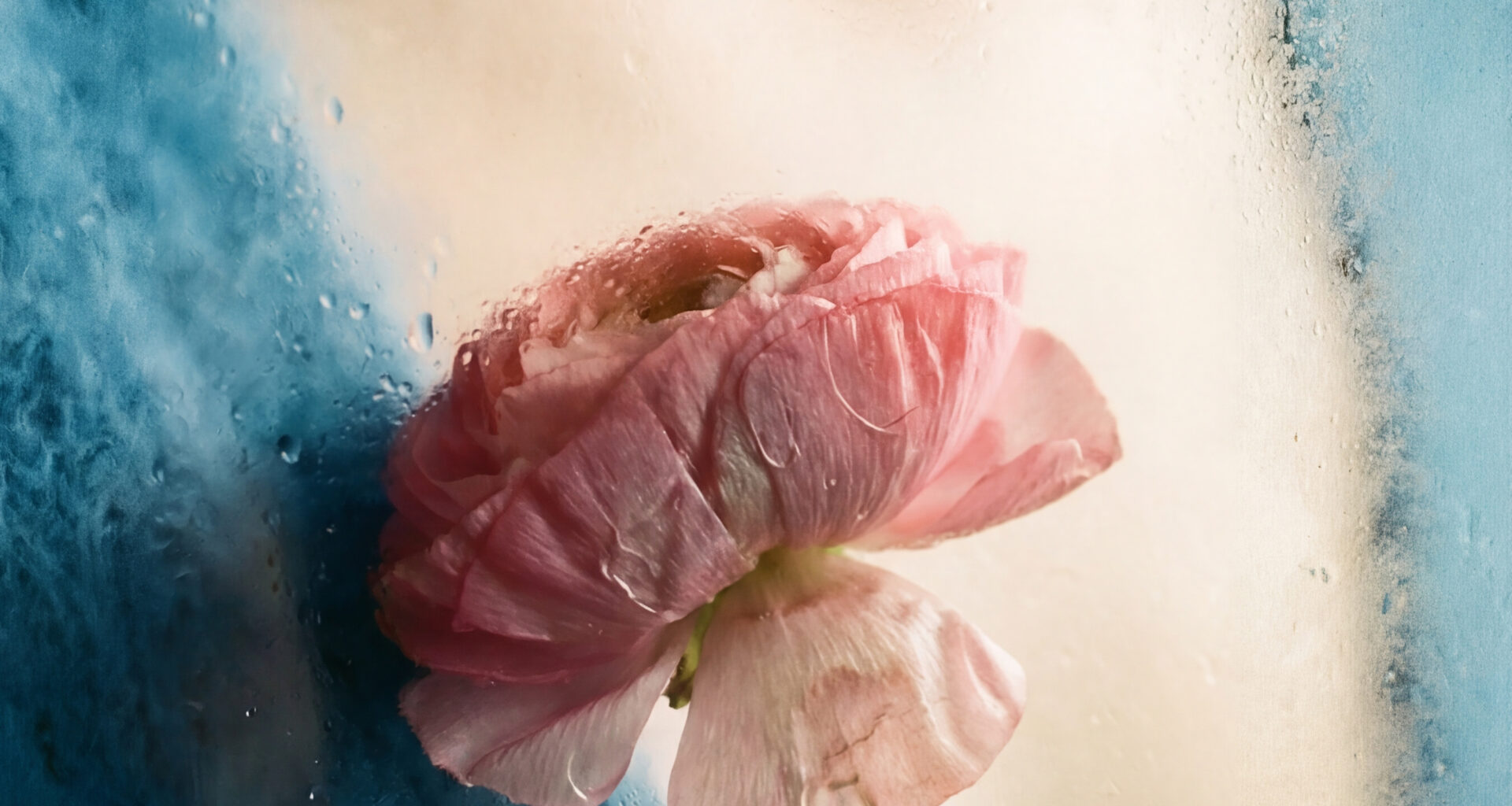 The COVID Lockdowns Delayed My Mom’s Cancer Surgery. Now She’s Dying.