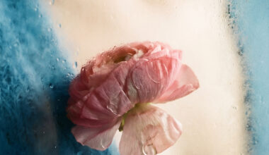 The COVID Lockdowns Delayed My Mom’s Cancer Surgery. Now She’s Dying.