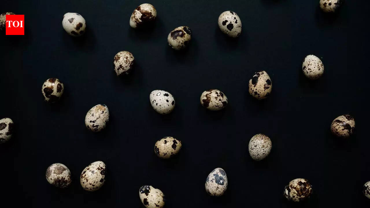 Scientists uncover ‘space glass’ in Brazil linked to a 6-million-year-old meteorite impact |