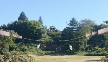 Vancouver Park Board approves zipline, nature walk at Queen Elizabeth Park