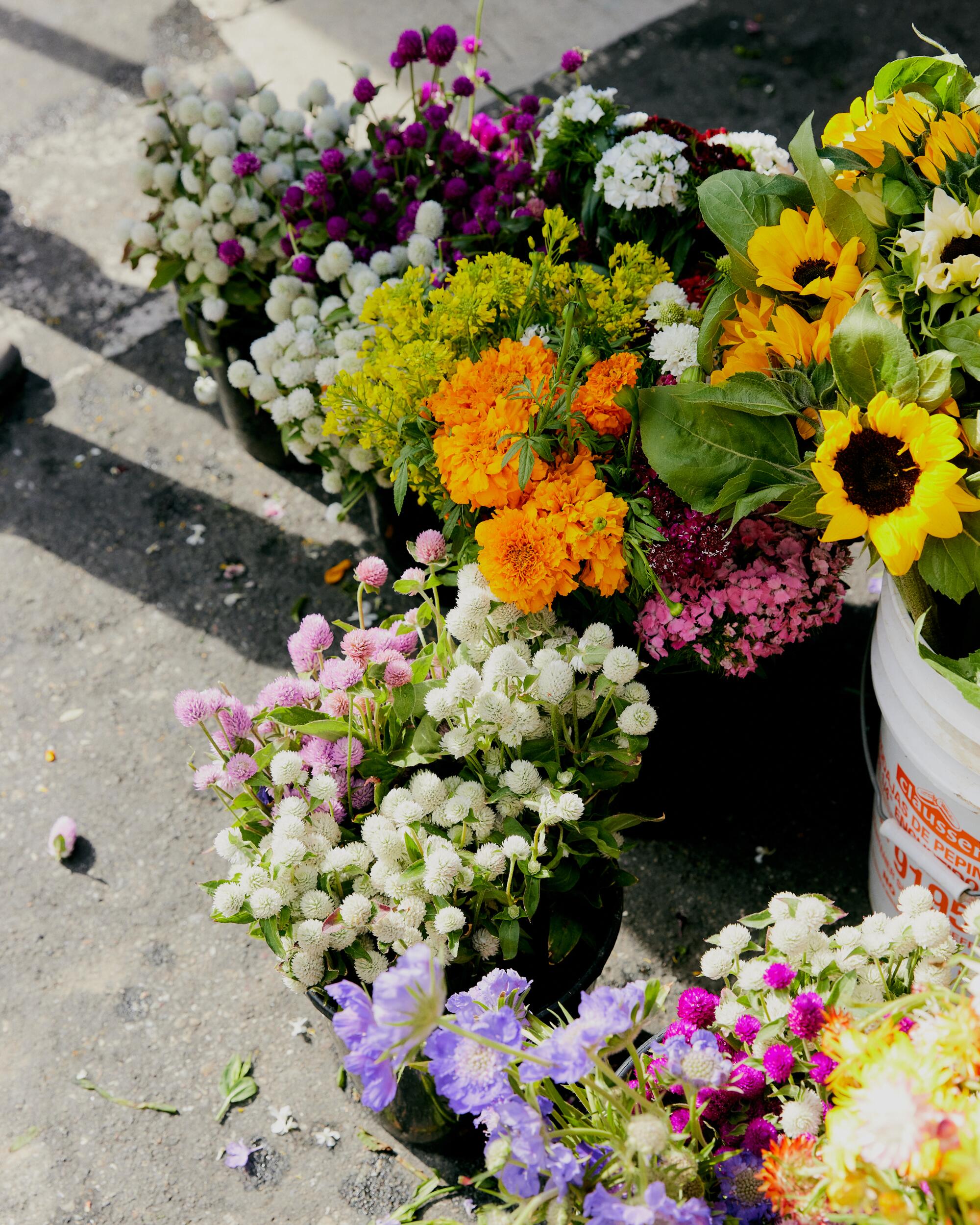 Buckets of flowers at the Hollywood Farmers Market in Los Angeles, CA.