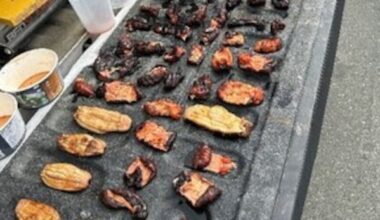 Illegal sea cucumber fishing leads to $11,600 fine for north Vancouver Island fishers