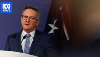 Federal politics: Energy minister Chris Bowen says panic buying is 'very much' behind fuel shortages — as it happened