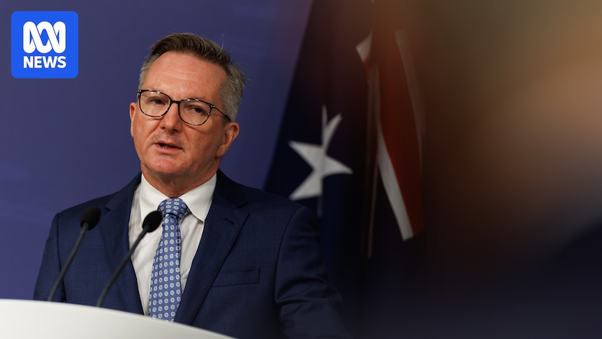 Federal politics: Energy minister Chris Bowen says panic buying is 'very much' behind fuel shortages — as it happened