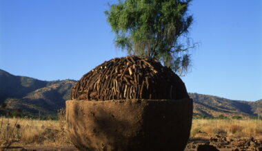 Smiljan Radić: Material Explorations Between Ephemerality and Permanence