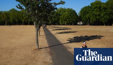 Reduced physical activity due to global heating will lead to rise in health issues, study says | Climate crisis