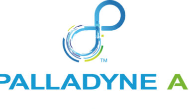 Palladyne AI Subsidiary Selected by U.S. Navy to Develop Low Cost Near Hypersonic Missile