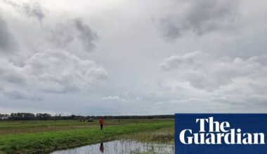 England must destine 7% of land to nature and renewables to hit green targets, data shows | Conservation