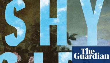 Hachette pulls horror novel Shy Girl after suspected AI use | Books