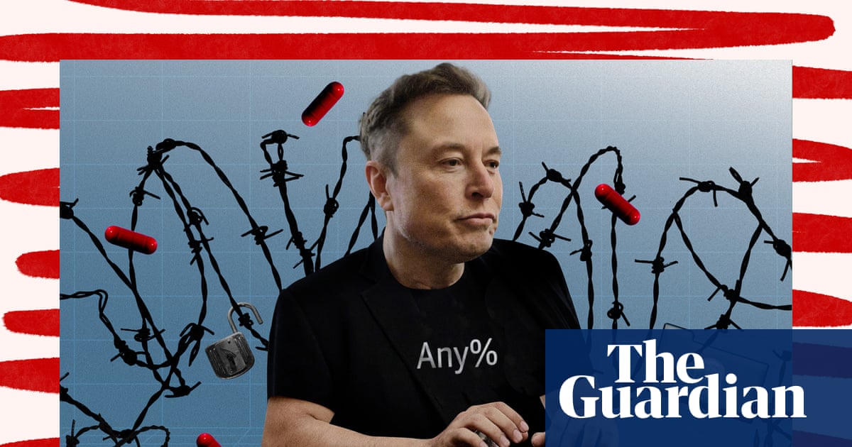 Six great reads: Doge explained, ‘alpine divorce’ and the secret lives of body doubles |