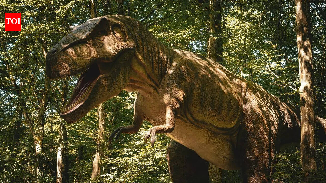 Cartoon character Dooly comes to life? South Korea finds rare ‘baby’ dinosaur from 100 million years ago | World News