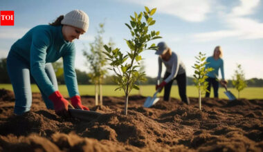 Think planting trees will save the planet from global warming? Science says it’s not that simple |
