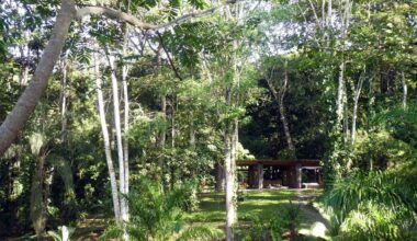 Negotiating Boundaries: Climate and the Building Envelope in Central American Architecture