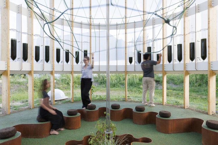 Designing with Living Matter: 5 Installations Using Bio-Based Materials and Digital Fabrication - Image 5 of 16