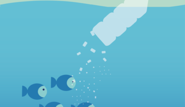 How Microplastics Threaten Marine Ecosystems and the Food Chain