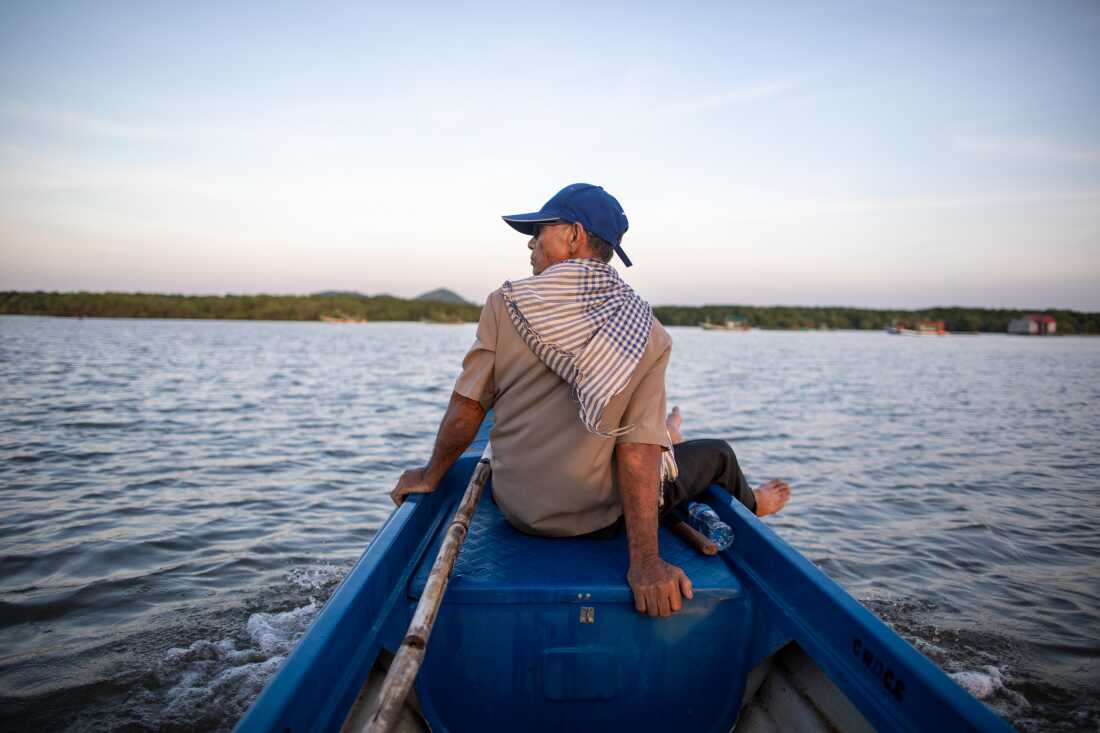 Khiev Sat surveys the restored mangrove forests along the coast near his home. He says more mangroves mean more prosperity for him and his neighbors.