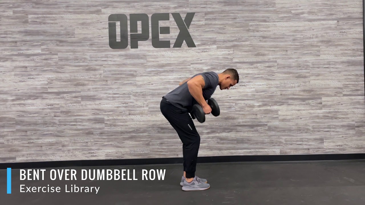 Bent Over Dumbbell Row - YouTube