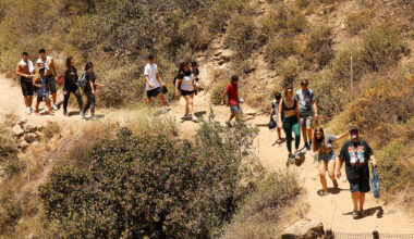 Woman dies from rattlesnake bite 5 days after rescue on Calif. trail