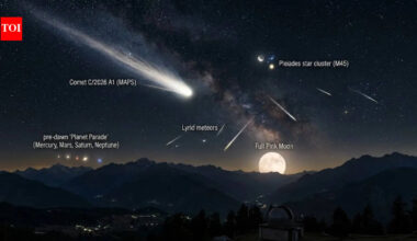 From a blazing comet to meteor storms