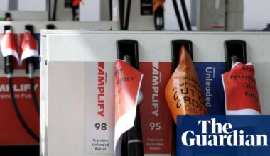 Business fears ‘serious interventions’ needed to reduce demand as Labor warns of long-term ‘fuel shock’ | Petrol prices