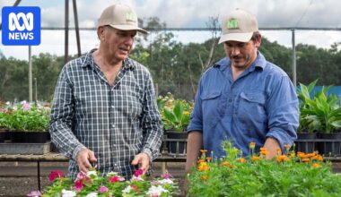 Farmers, fishers and remote Indigenous communities appeal for fuel price relief and supply solutions