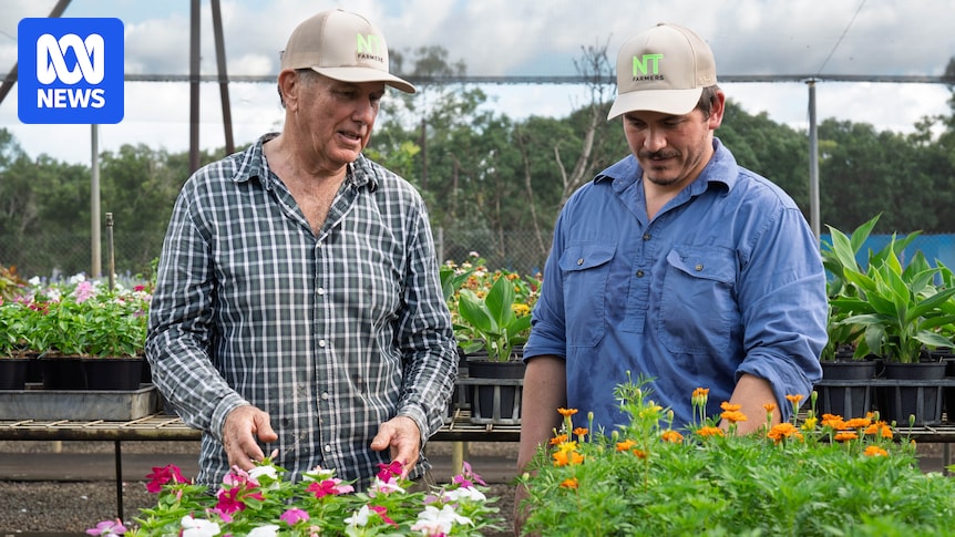 Farmers, fishers and remote Indigenous communities appeal for fuel price relief and supply solutions