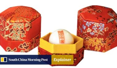 Explainer | How TCM’s ‘miracle pill’ is used to treat strokes, but experts urge caution