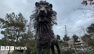 From Aslan to Paddington - the NI sculptures shaping our children's stories - BBC