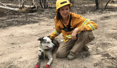 Yahoo lifestyle home