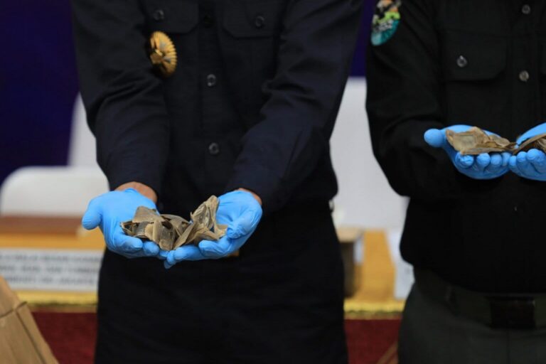 Officers display pangolin scales intended for smuggling into Cambodia.