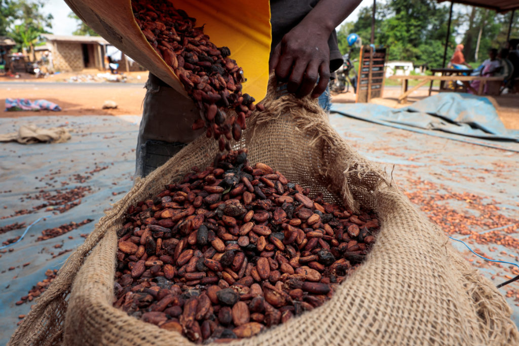A worker fills a sack with cocoa beans as he prepares to gather unsold stocks of cocoa at the warehouse of Sekou Dagnogo, ...