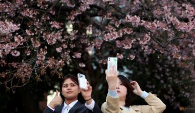 Japan's cherry blossom picnics feel the pinch of global inflation