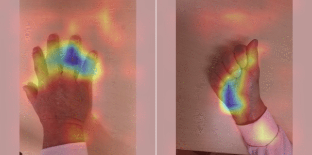 A Simple Photo of Your Hand 