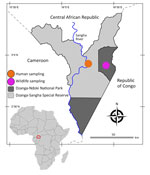 Location of study site in analysis of Strongyloides genetic diversity among humans, dogs, and nonhuman primates, Dzanga-Sangha Protected Areas, Central African Republic, 2016–2022. Inset shows location of Central African Republic in Africa. Figure adapted and adjusted from Hasegawa et al. (18).