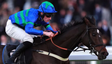 Bass Hunter all set for Champion Bumper bid