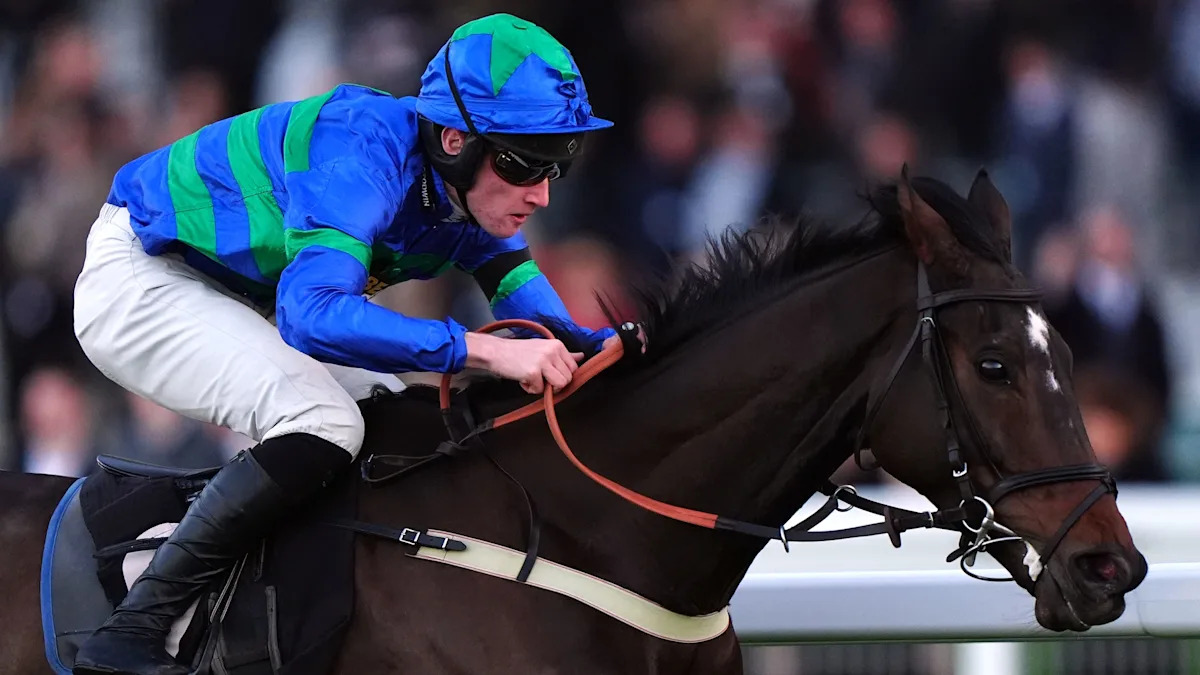 Bass Hunter all set for Champion Bumper bid