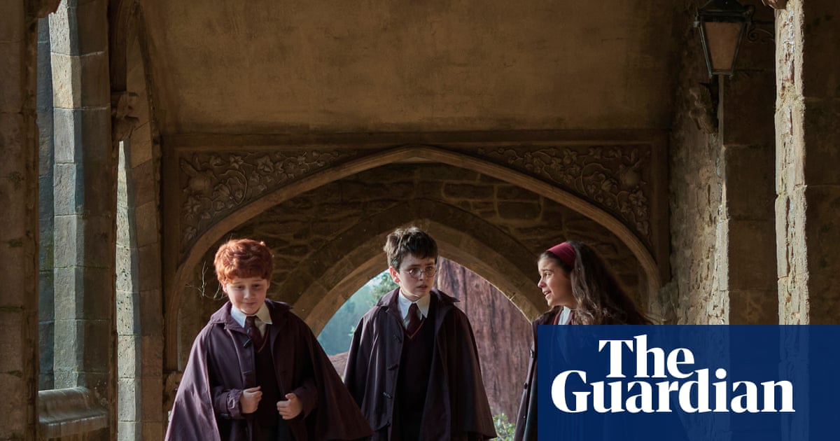 HBO Max pins hopes on Friends and Harry Potter to win UK streaming war | Television industry