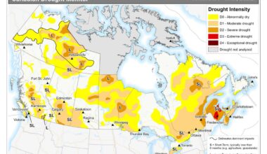 Canadian Drought Monitor map.
