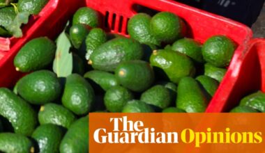Energy shock talk grabs headlines but the Iran war is also driving the world towards a food crisis | Heather Stewart