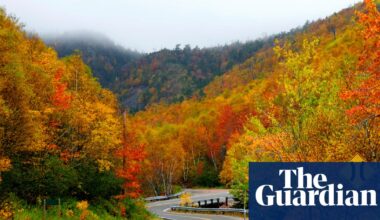 Canadian man who hiked in woods in defiance of ban has case heard in court | Canada