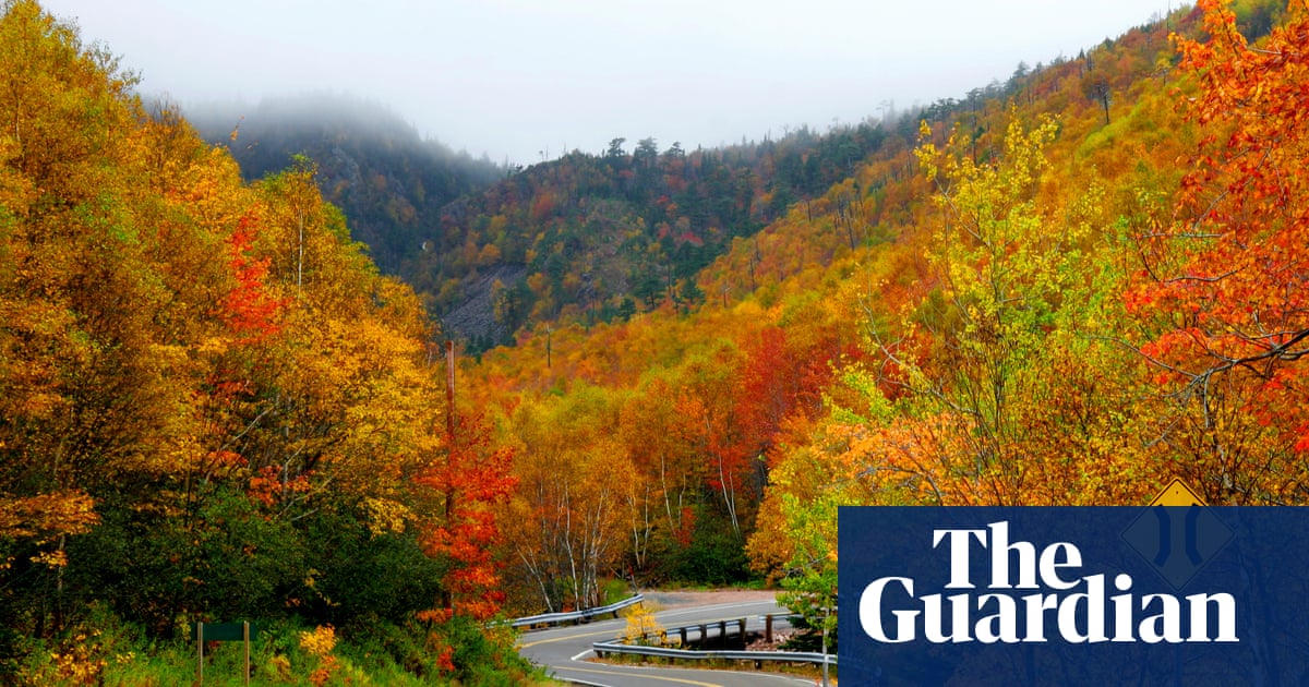 Canadian man who hiked in woods in defiance of ban has case heard in court | Canada