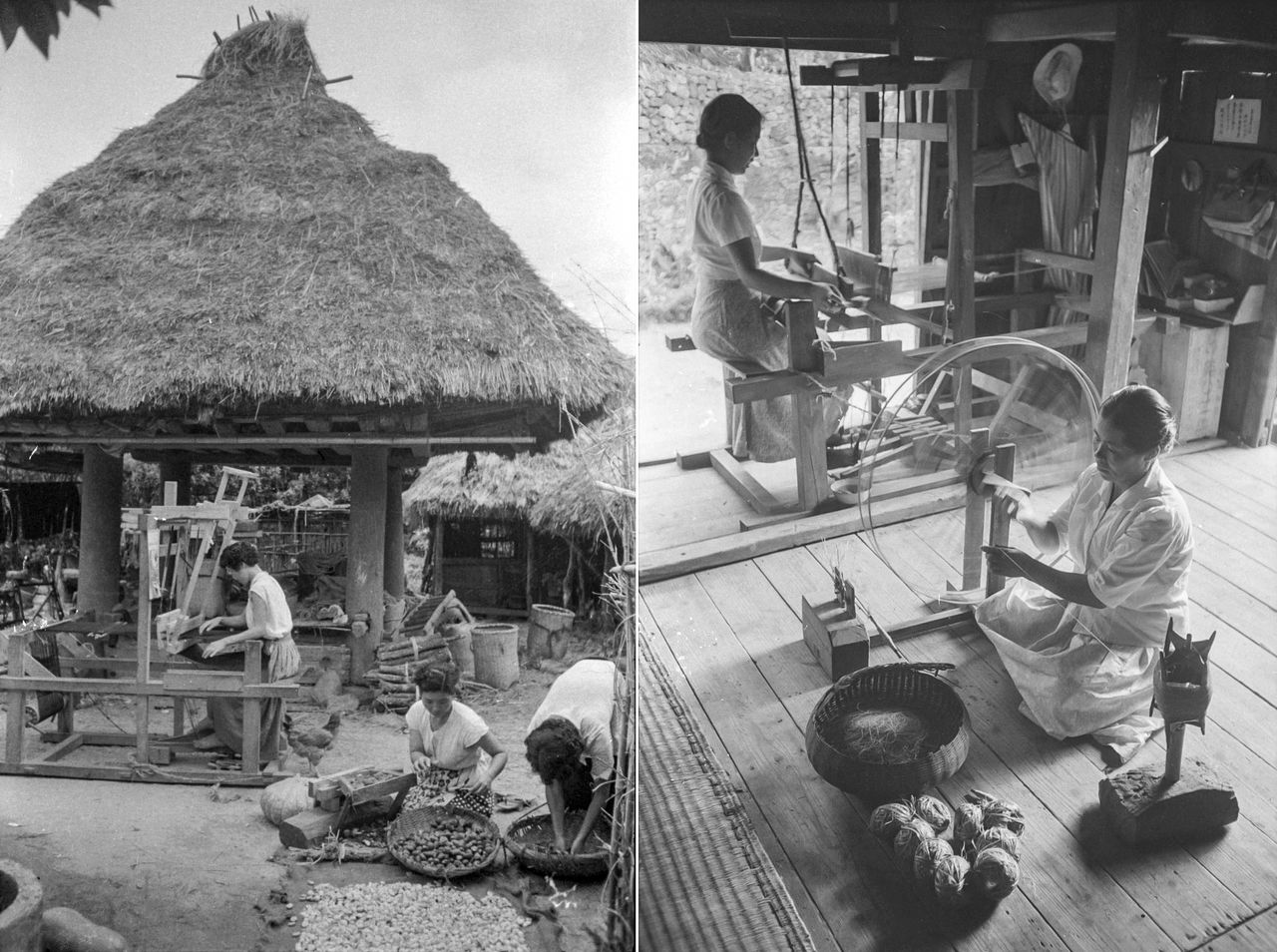 Left: Farm women weaving tsumugi silk pongee on looms at home in Kasari, Amami. Ōshima tsumugi silk fabric has been produced for 1,300 years. As it grew in popularity in the 1970s, it began to be produced overseas, but nowadays, production has fallen to one-seventieth of former levels. Right: a farmwoman spins banana fibers into thread for bashōfu traditional handicrafts in Wadomari. (© Haga Hideo)