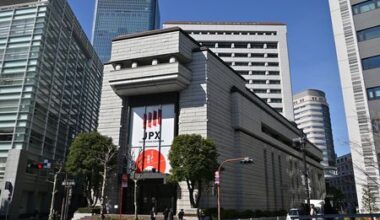 Tokyo Stocks Rebound as Crude Oil Market Falls