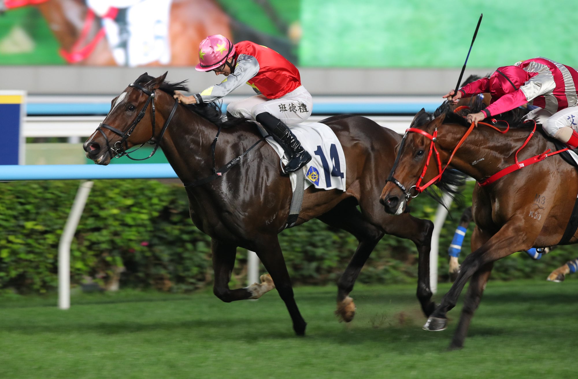 The Golden Knight (left) wins at Sha Tin. The Golden Knight (left) wins at Sha Tin.