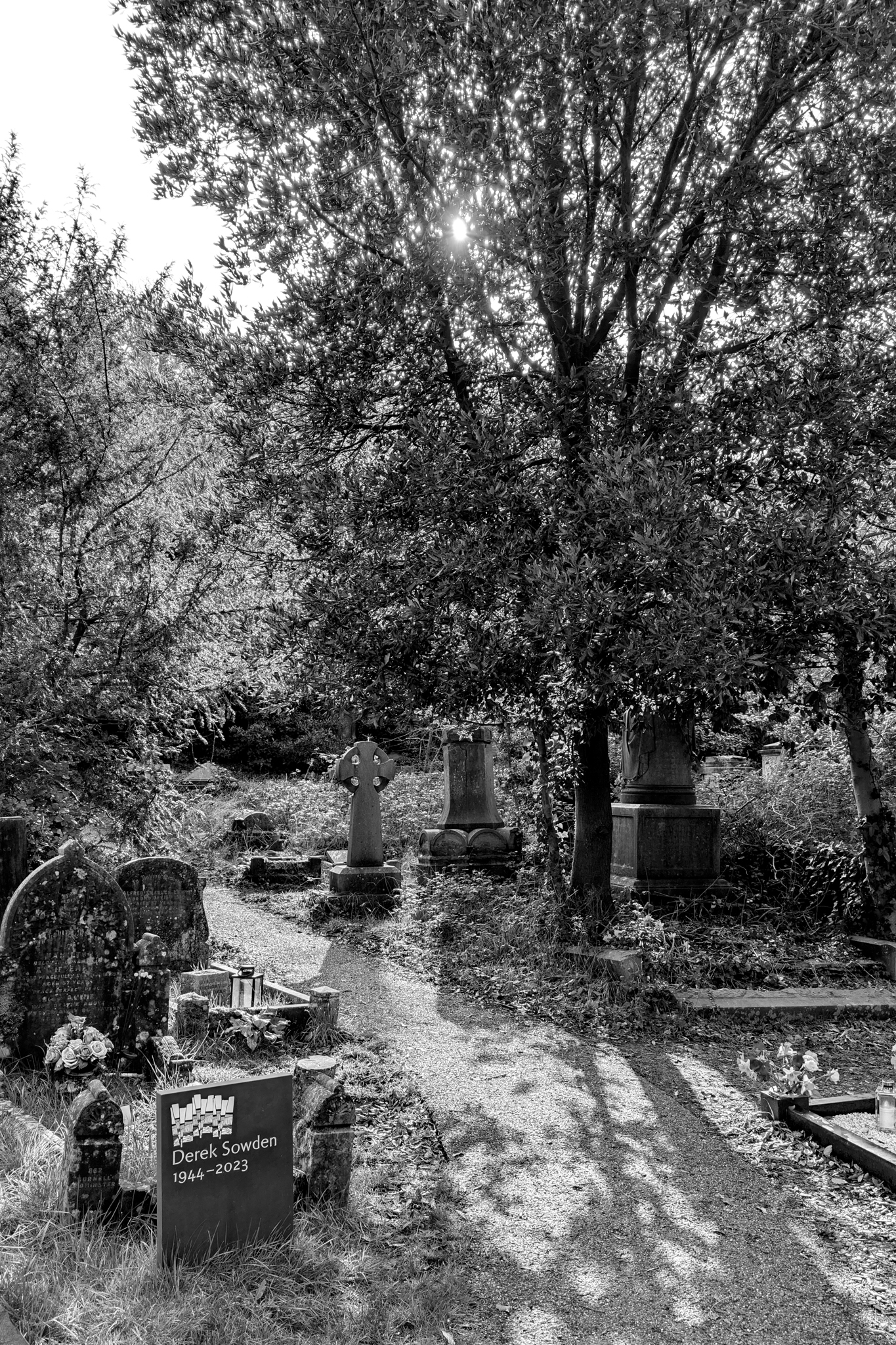 Leica Q3 Monochrom and Google Pixel 10 Pro XL comparison