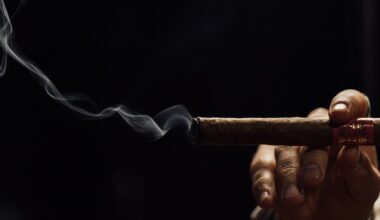 Pipe and Cigar Smoking Speeds Lung Function Decline