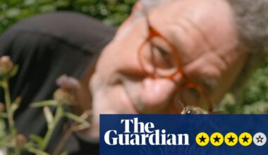 My Garden of a Thousand Bees review – a joyous film on the unbearable lightness of bee-ing | Television & radio