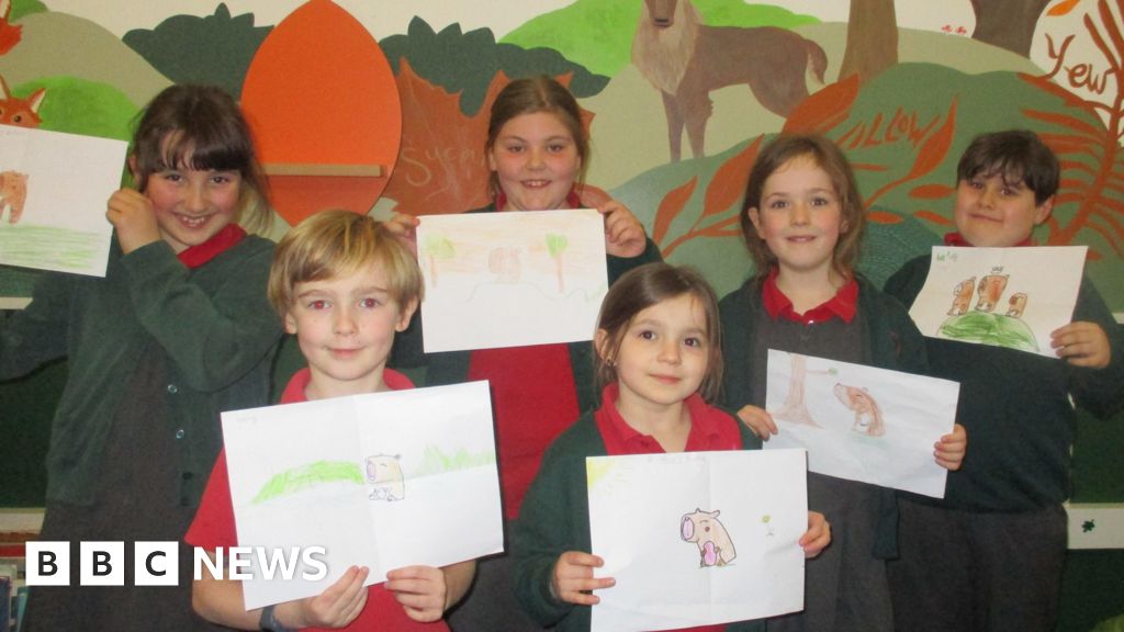 Twyford school pupils join hunt for runaway capybara - BBC