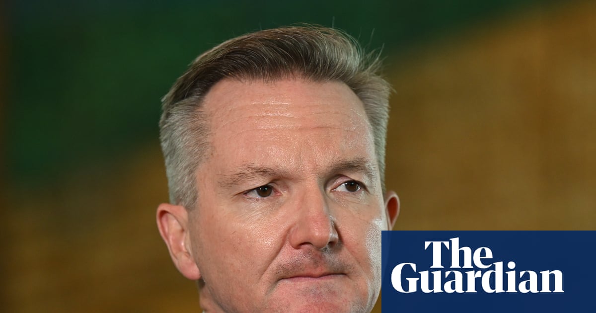 Chris Bowen declares rush on jerry cans ‘un-Australian’ as he urges end to panic buying of petrol | Australian economy